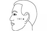下关穴穴位位置图及作用