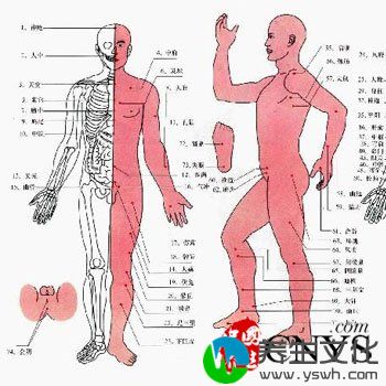 秋冬养阴好时节 穴位护健康是关键