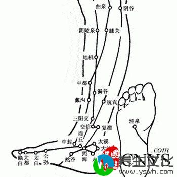 秋冬养阴好时节 穴位护健康是关键