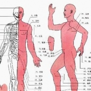 秋冬养阴好时节 穴位护健康是关键