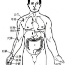 经络养生方法 经络按摩技巧及注意事项