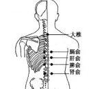 中医穴位养生 腧穴的分类及养生功效