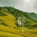 2015年芒种是几月几日 芒种是什么意思