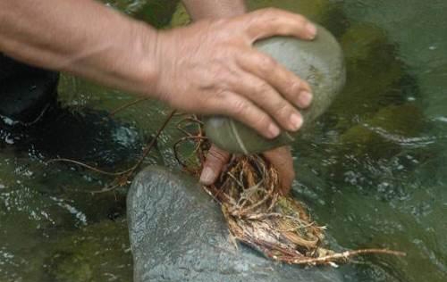 疥疮如何饮食调理 推荐治疗疥疮的食疗偏方