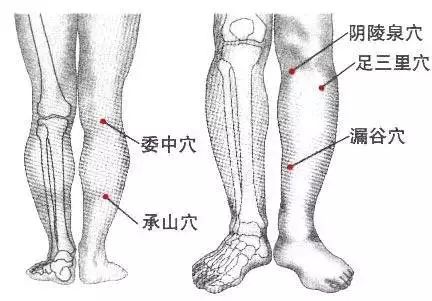 女人身体中的最难瘦的地方 这几个穴位很有用